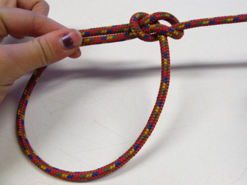 Bowline knot