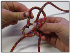 Bowline Picture 5